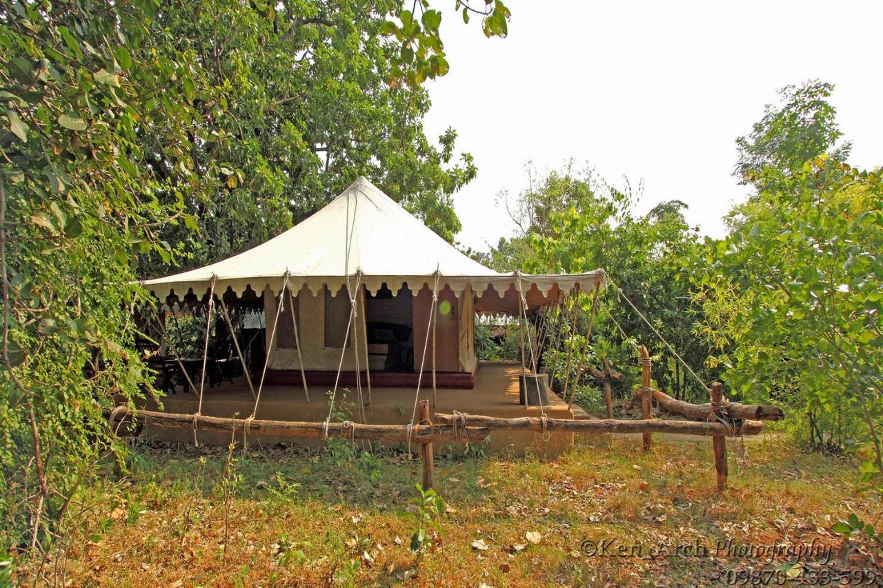 Monsoon Forest Tāla Exteriér fotografie